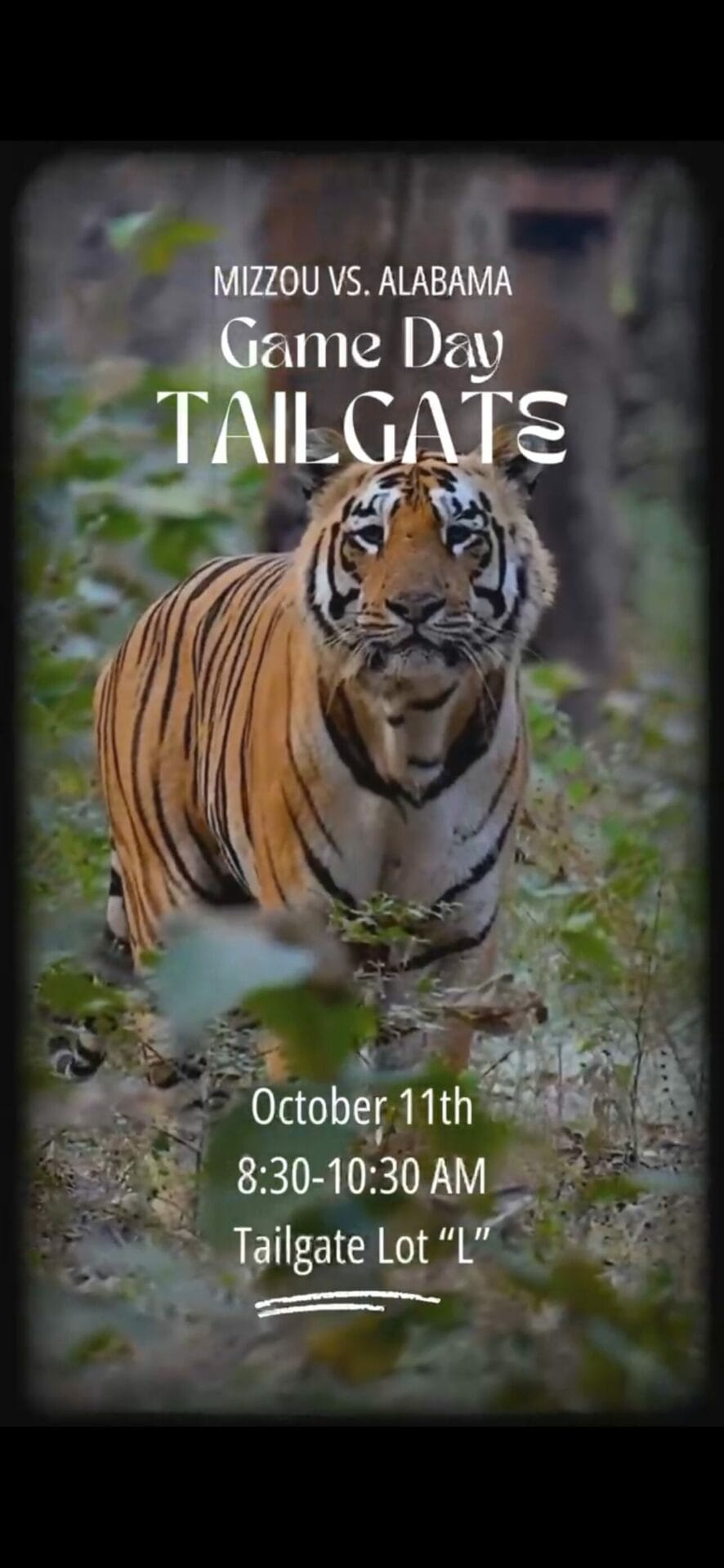 Alabama Mizzou Tailgate